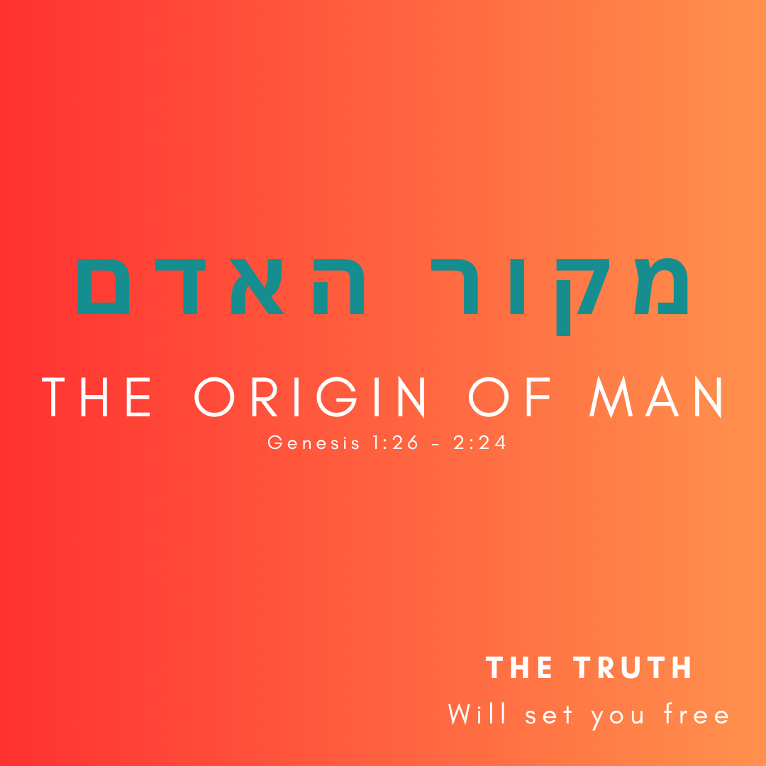 1. THE ORIGIN OF MAN Genesis 126 - 224