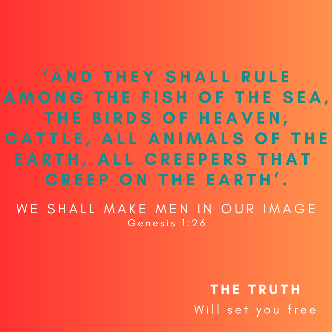2. WE SHALL MAKE MEN IN OUR IMAGE Genesis 126